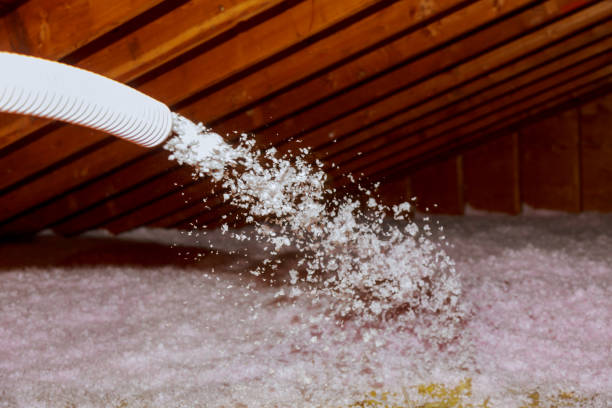 Best Garage Insulation  in Tomah, WI